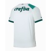 Maglia Palmeiras 2023-24 Trasferta Divisa